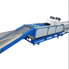 High quality lemon sorting machine supplier sorter kiwi fruit